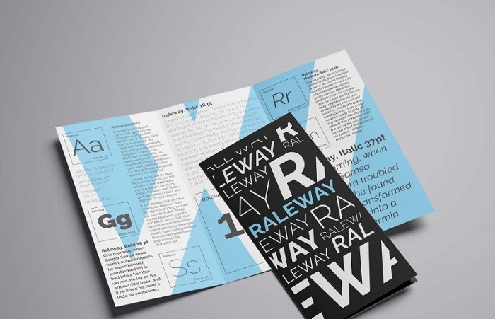 Raleway Font