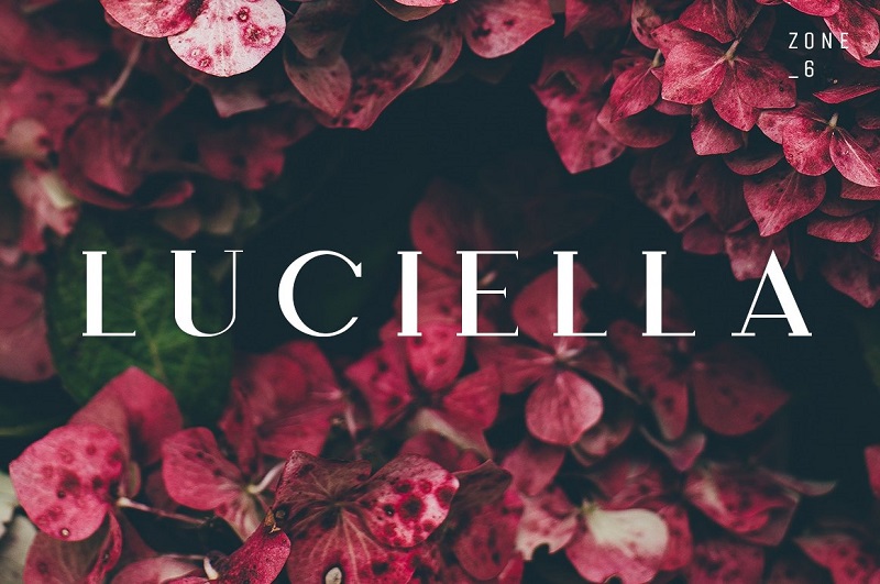 47 Fashion Fonts That Will Help You Make A Statement Hipfonts 