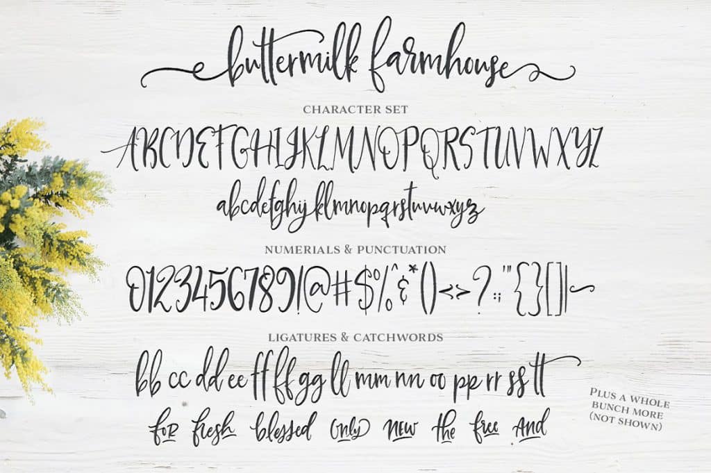 Buttermilk Farmhouse Typeface full