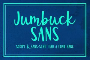 50 of the Best 1950s Fonts that Capture the Roaring Decade | HipFonts