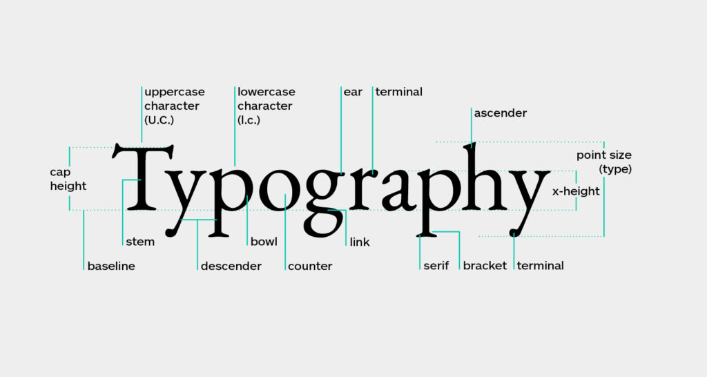 Typography Anatomy