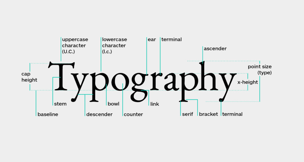 typeface anatomy