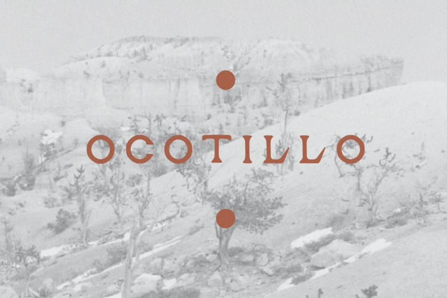 Ocotillo