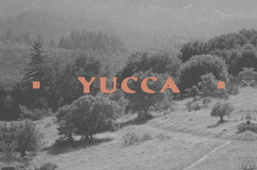 Yucca