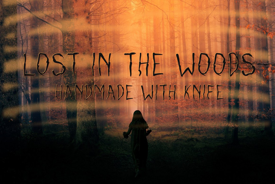 LostInTheWoods