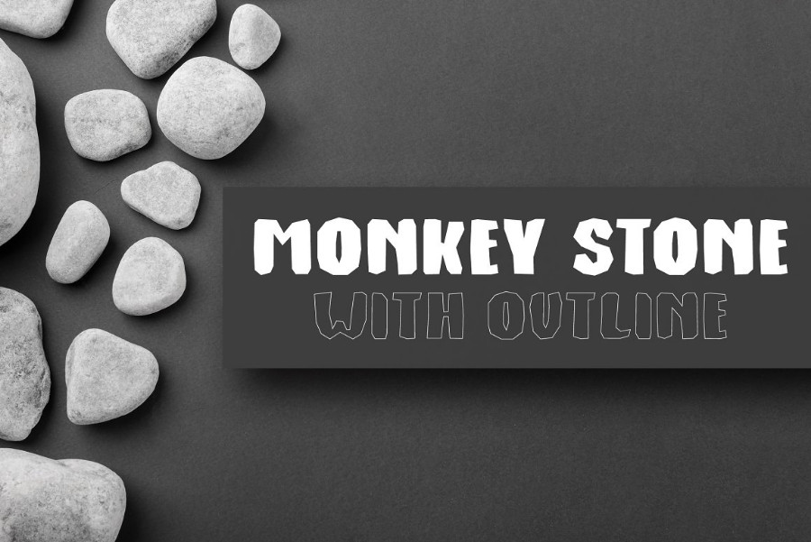 MonkeyStoneDF