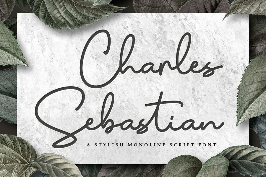 CharlesSebastian