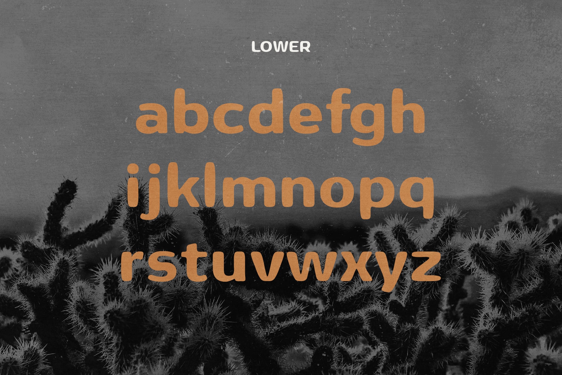 Buckaroo – Desert Inspired Typeface | HipFonts