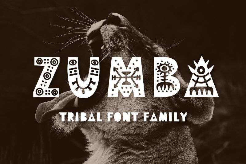 Zumba Tribal