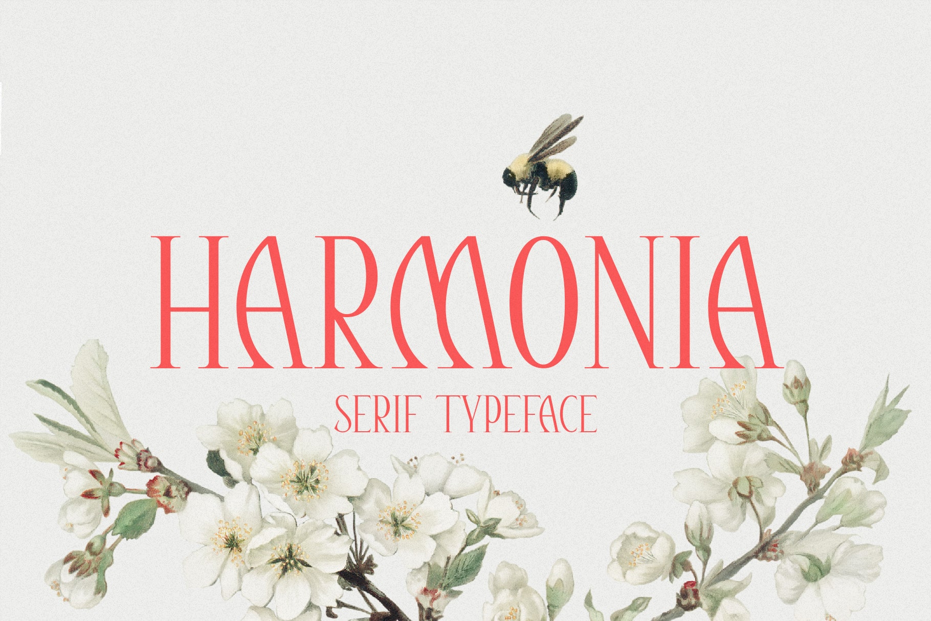 Harmonia Cover min