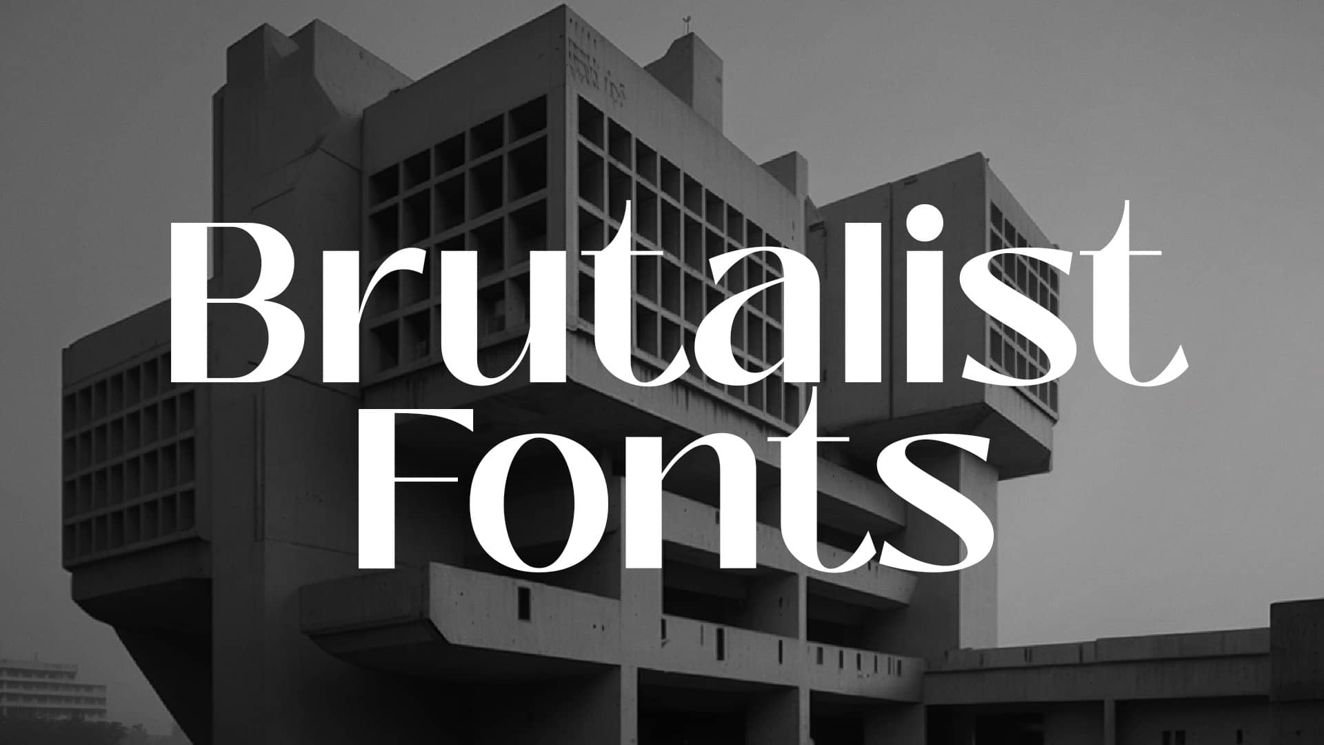 Brutalist Fonts
