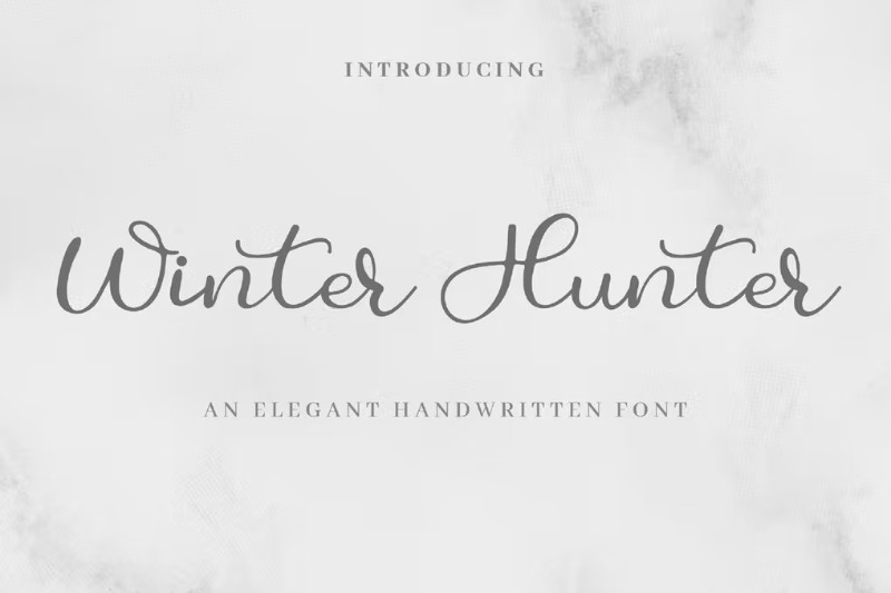 Winter Hunter