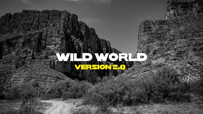 Wild World font