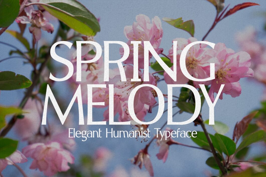Spring Melody Mix 30 Signage Fonts Perfect for Street Signs and Storefronts | HipFonts