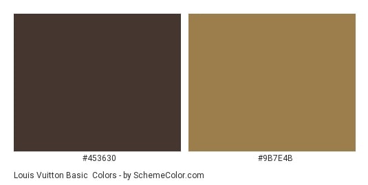 brown louis vuitton color palette