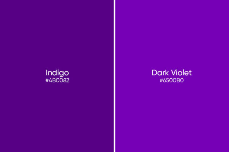 Interesting Info About The Color Indigo and More Fun Facts! | HipFonts