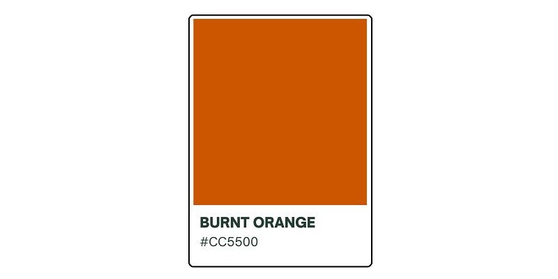 burnt orange pantone