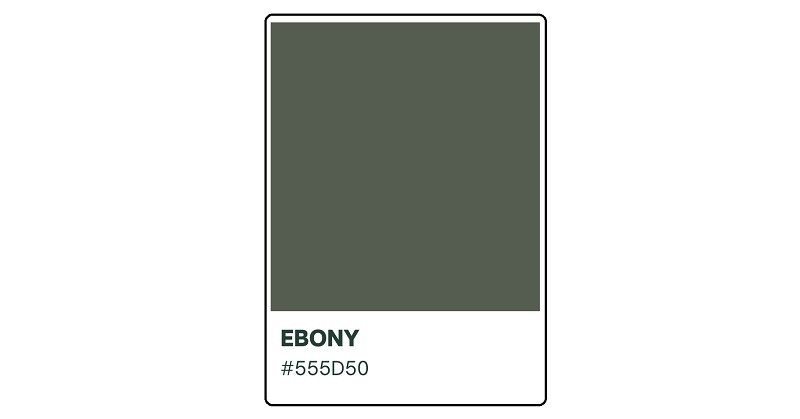Ebony Color