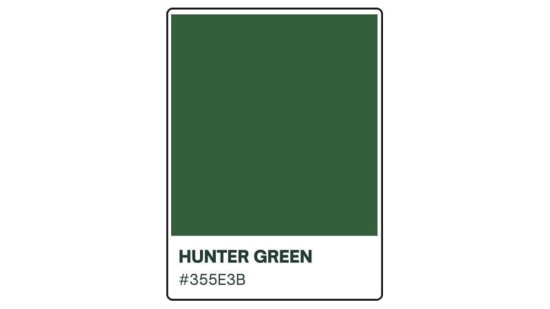 Hunter Green Color - HEX #0B4008 Meaning and Live Previews - PaletteMaker