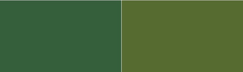 Hunter Green Color Palette