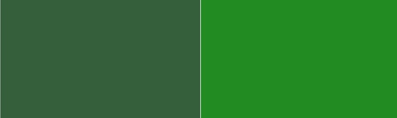 Hunter Green and Forest Green