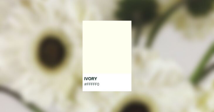 Ivory Color cover