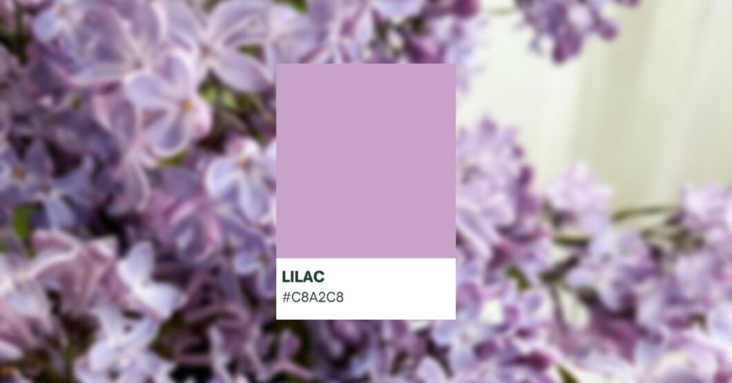 Bright Pastel Purple Hex Code