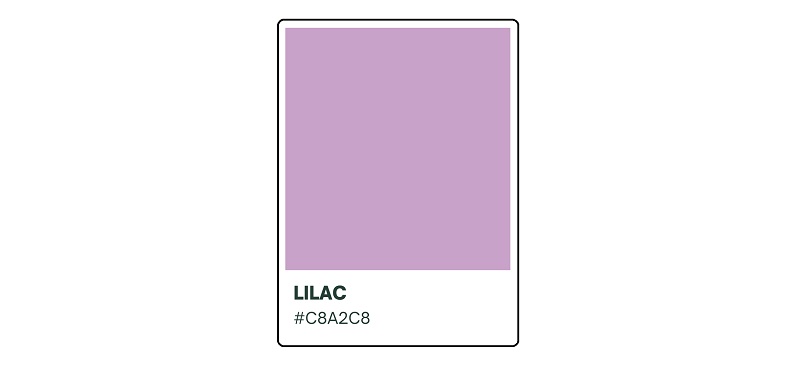 Lilac Color