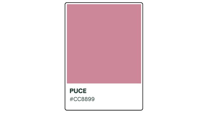 What Makes the Puce Color So Elegant and Captivating | HipFonts