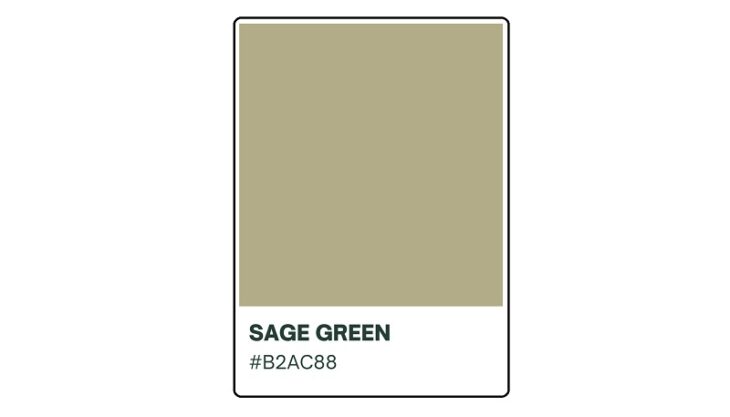 A Comprehensive Guide to the Mesmerizing Color of Sage Green | HipFonts