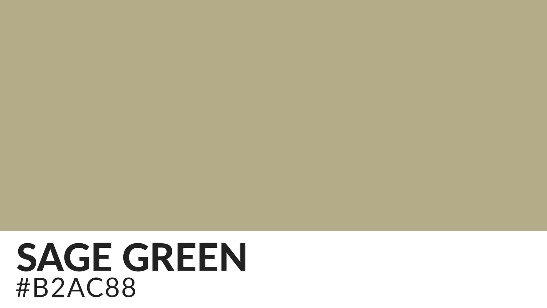 Sage Green Color