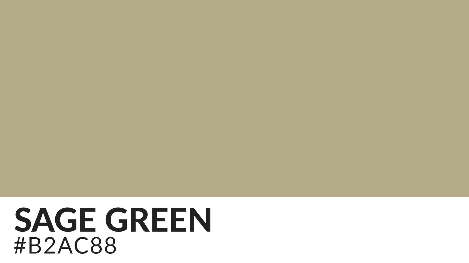 color-palette-sage-green-hipfonts