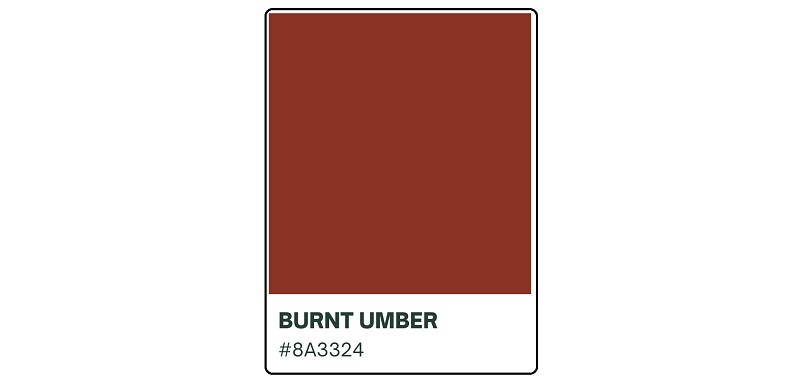 Burnt Umber Color