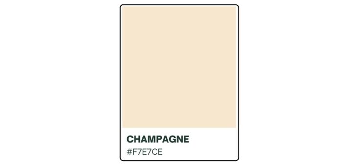 How Champagne Color Can Give Your Projects a High-End Look | HipFonts