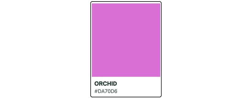 Orchid Color