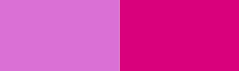 Orchid vs Fuchsia