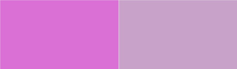 Orchid vs Lilac