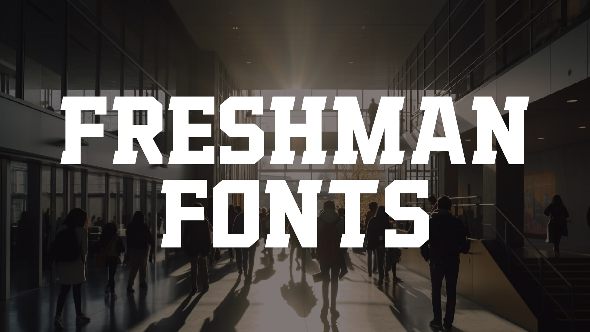 Freshman Fonts