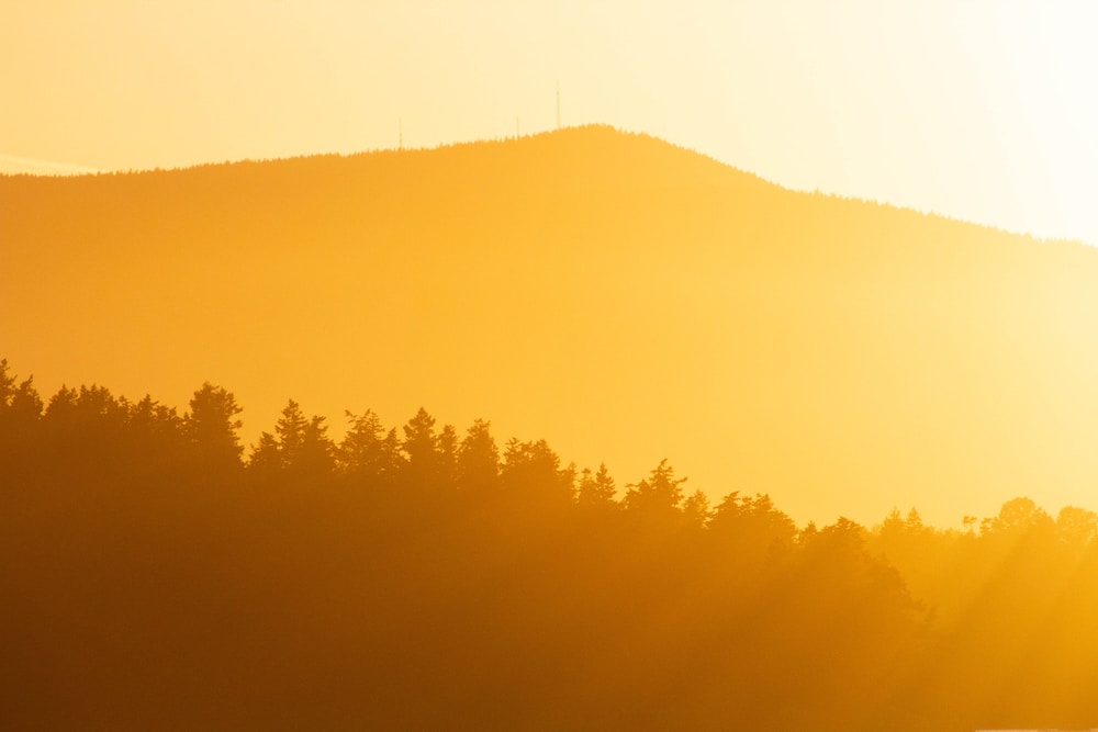 the sun is setting over a mountain with trees in the foreground
