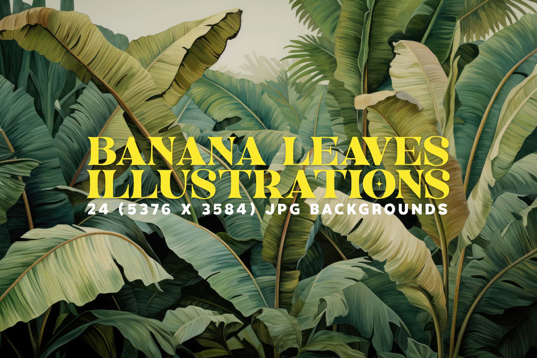 Banana leaf illustration cover