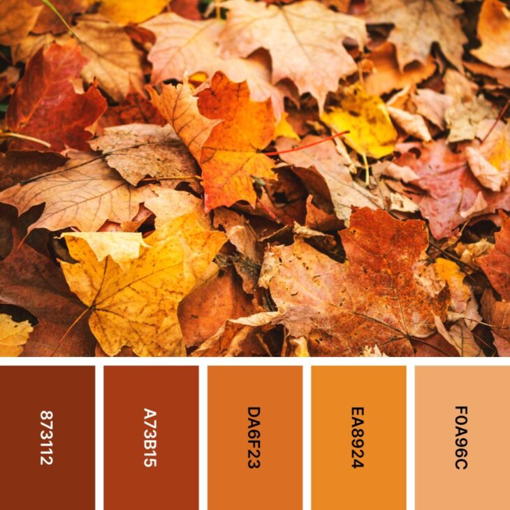 Autumnal Alchemy: 45 Color Palettes to Transform Your Designs | HipFonts