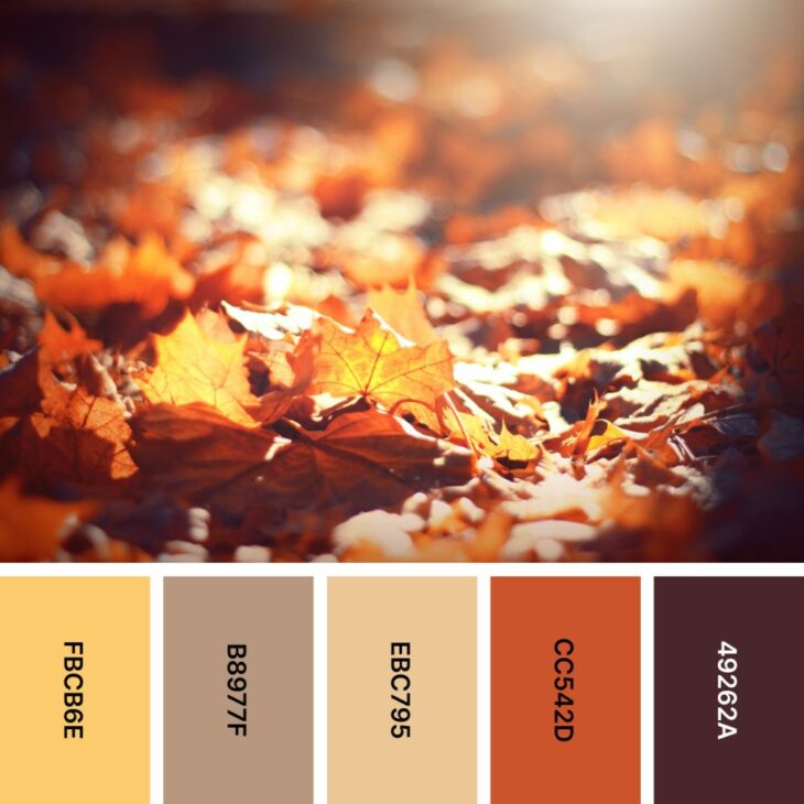 Autumnal Alchemy: 45 Color Palettes to Transform Your Designs | HipFonts