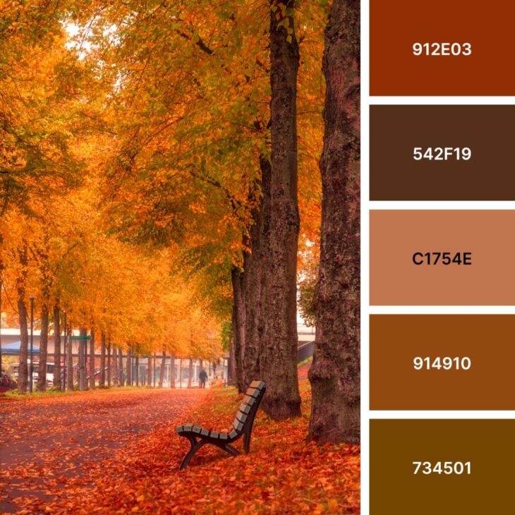 Autumnal Alchemy: 45 Color Palettes to Transform Your Designs | HipFonts