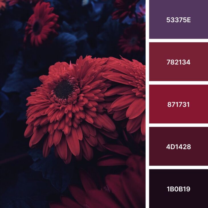 Color of Passion: 45+ Red Palettes for Dynamic Creations | HipFonts