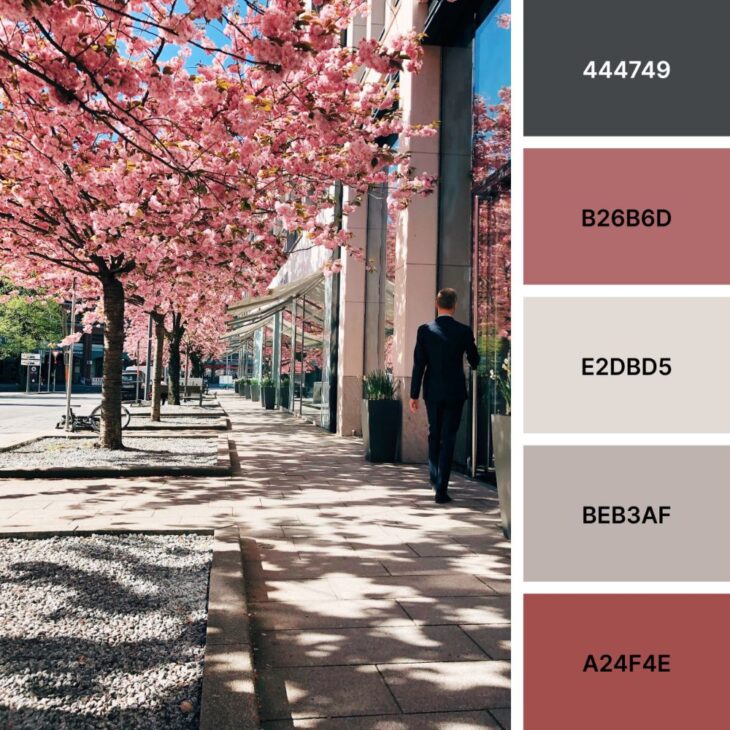 Spring Palette Perfection: 40+ Color Combinations to Elevate Your ...