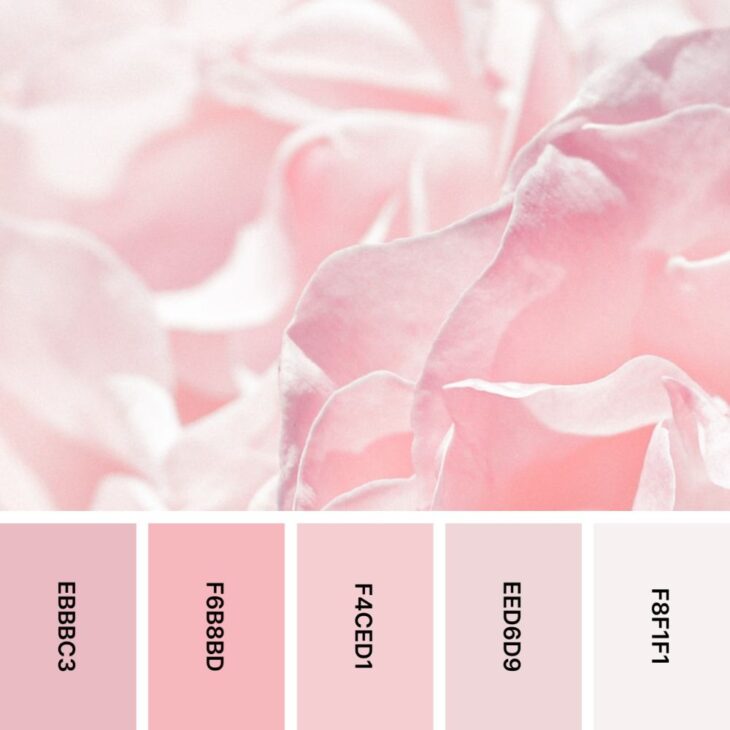 30 Inspiring Pink Color Palettes for Creative Minds | HipFonts