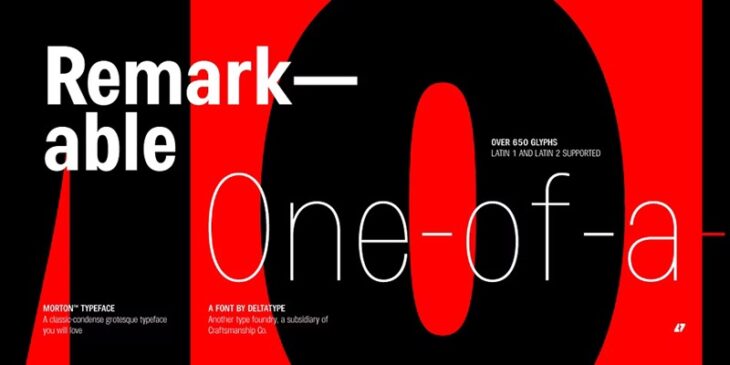 20 Best Reader-Approved Fonts for Print Books | HipFonts